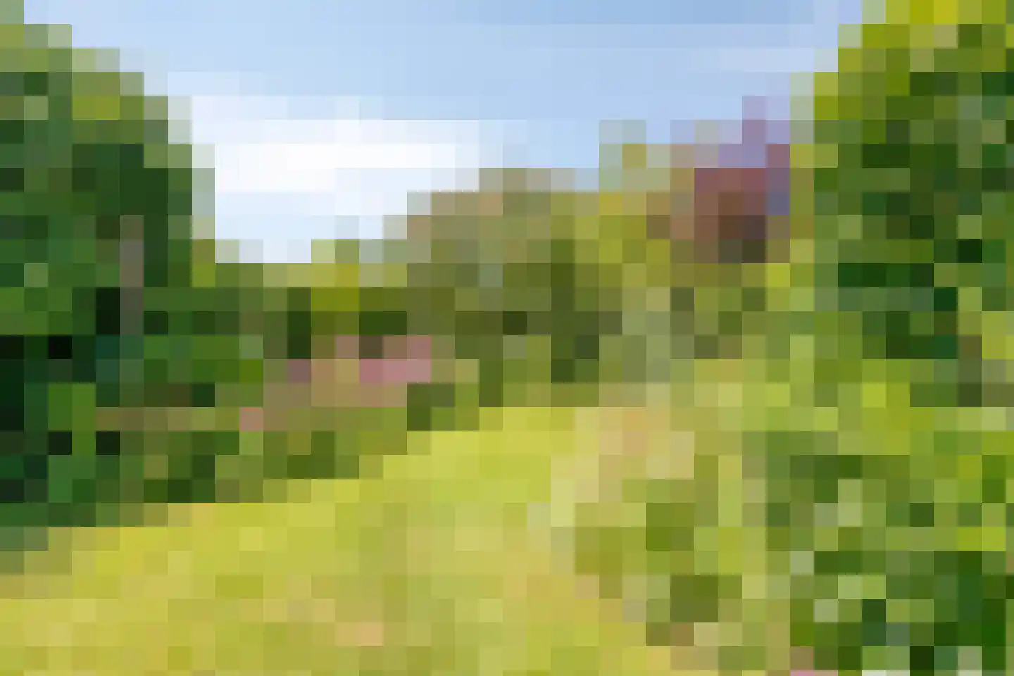Poorthof 6 Oosterwolde thumbnail 4