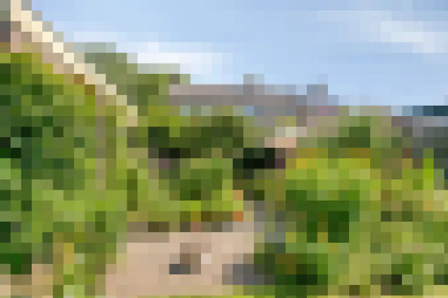 Poorthof 6 Oosterwolde thumbnail 40