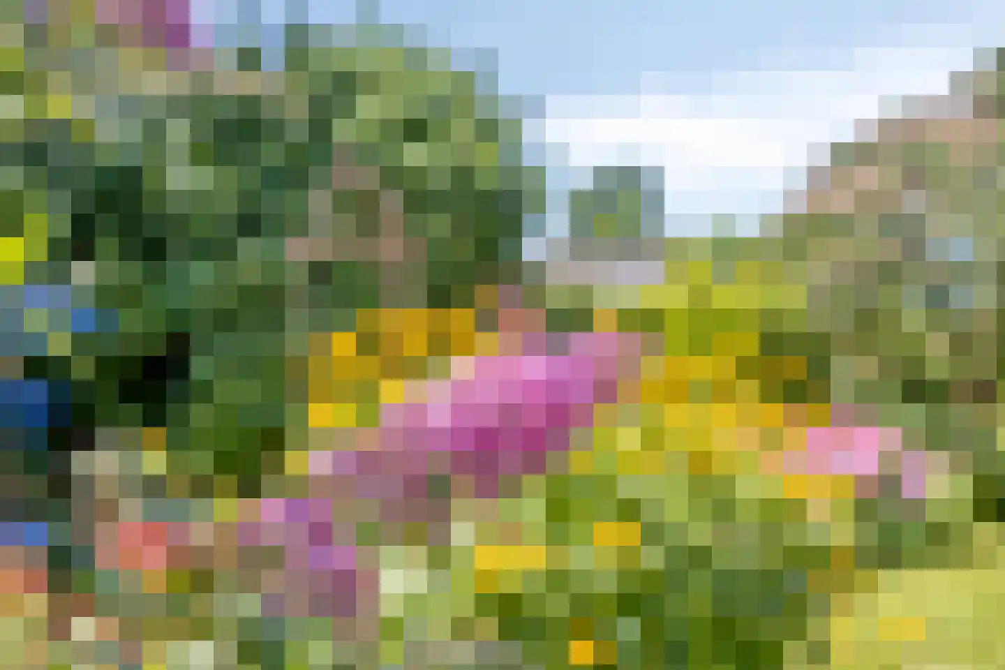 Poorthof 6 Oosterwolde thumbnail 42