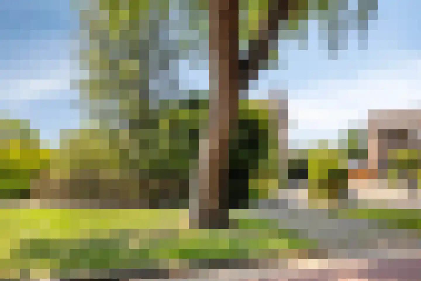Poorthof 6 Oosterwolde thumbnail 7