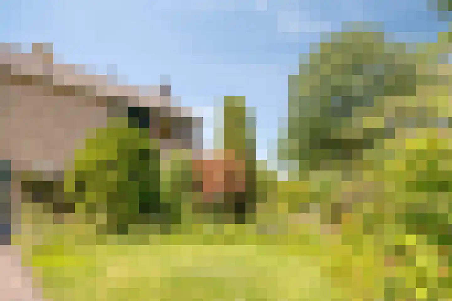 Poorthof 6 Oosterwolde thumbnail 8