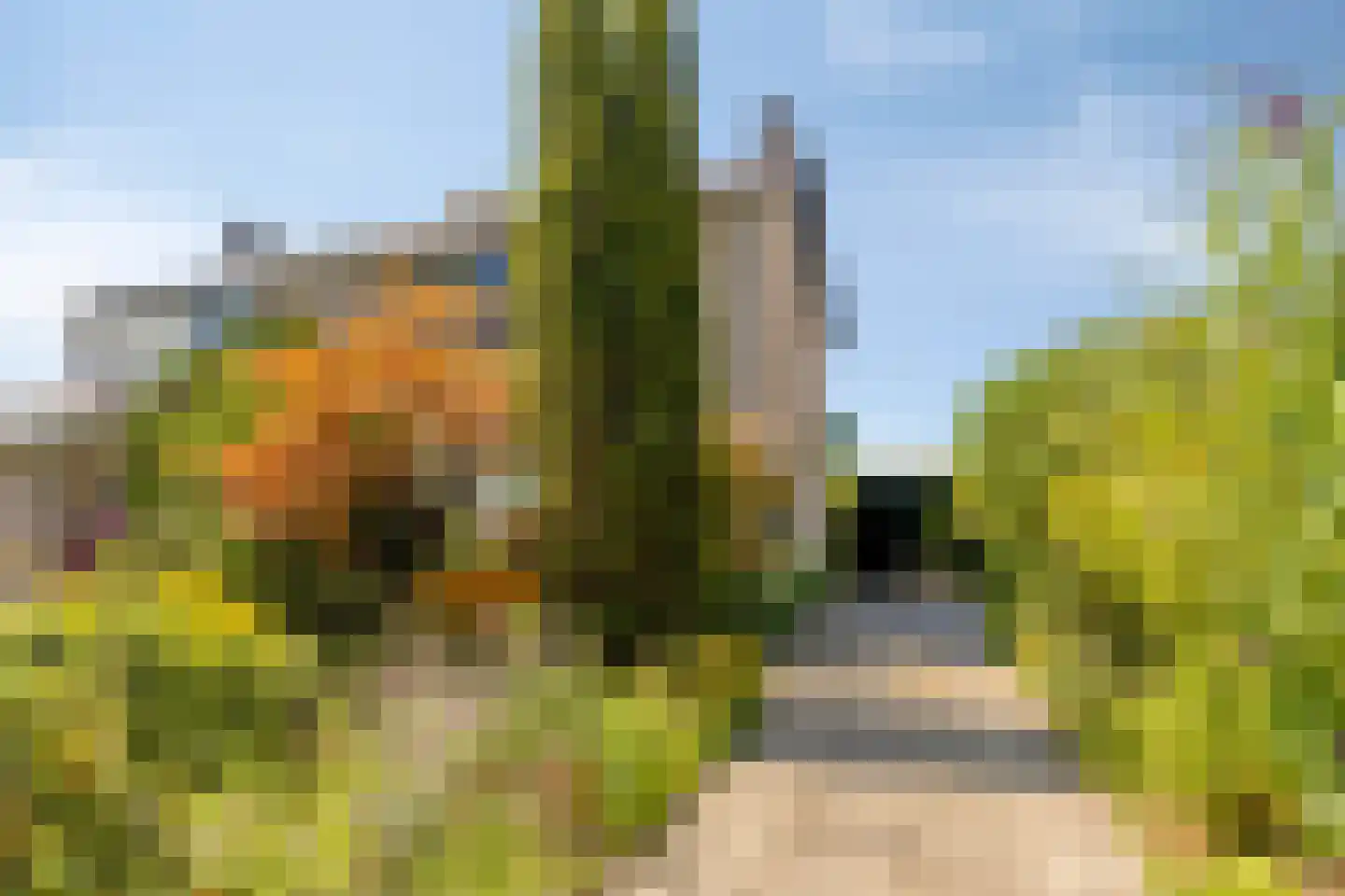 Poorthof 6 Oosterwolde thumbnail 9