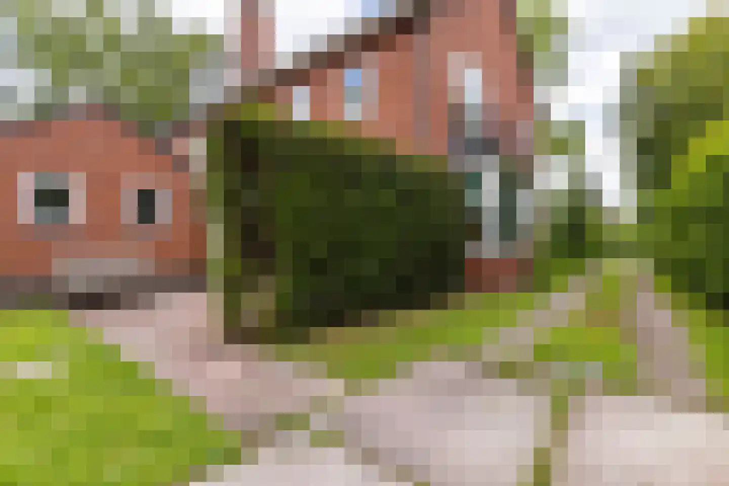Poorthofsweg 9 Haren Gn thumbnail 33