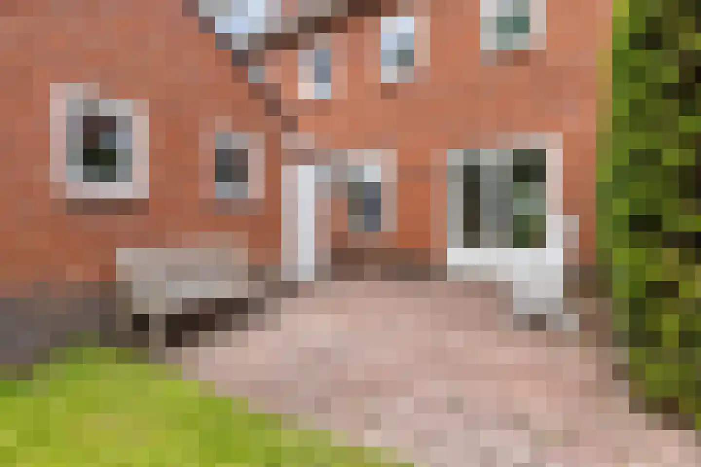 Poorthofsweg 9 Haren Gn thumbnail 35