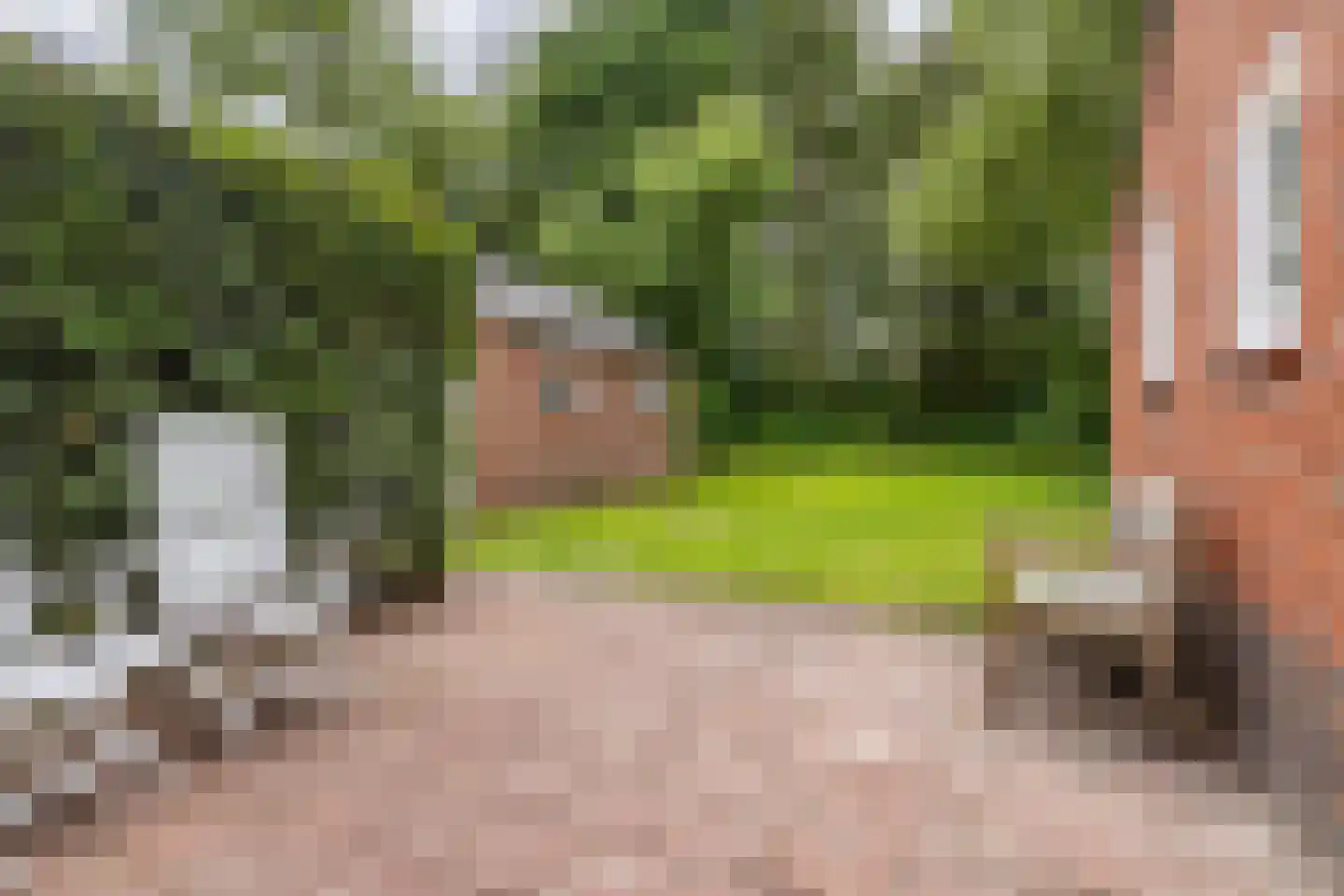 Poorthofsweg 9 Haren Gn thumbnail 36
