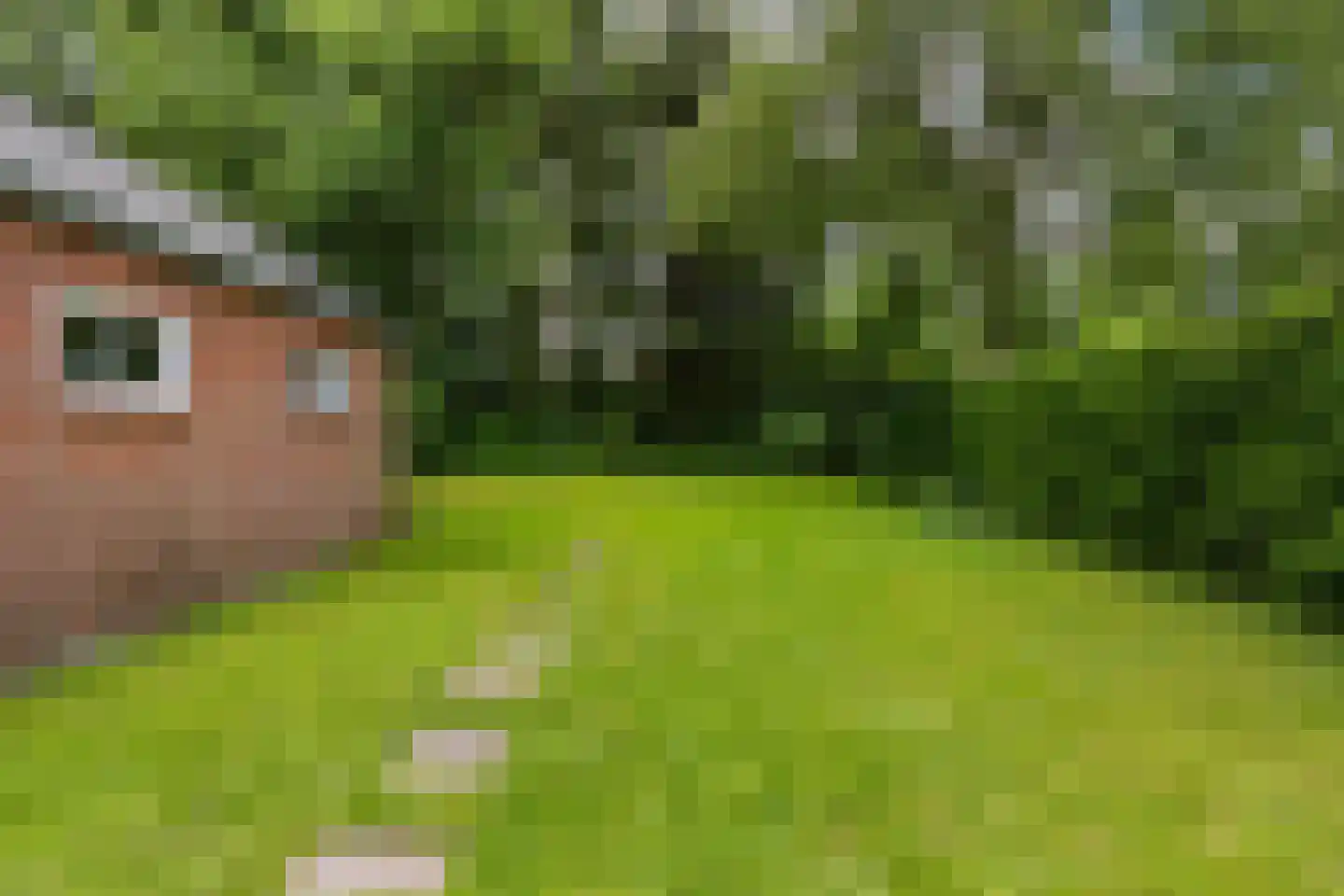 Poorthofsweg 9 Haren Gn thumbnail 37