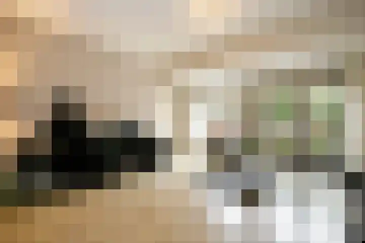 Poorthuisstraat 16 Bergambacht thumbnail 10