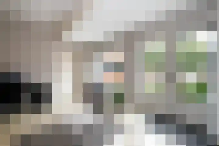 Poorthuisstraat 16 Bergambacht thumbnail 11