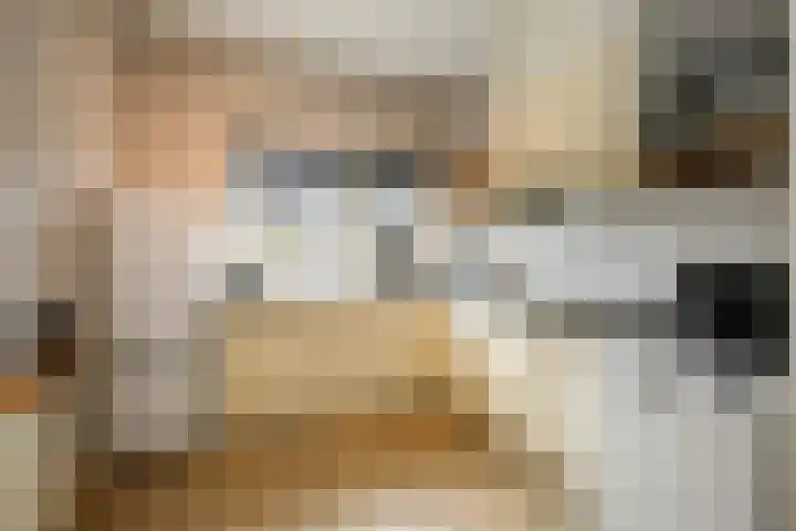 Poorthuisstraat 16 Bergambacht thumbnail 14