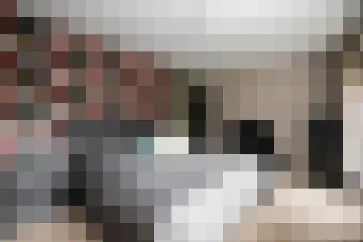 Poorthuisstraat 16 Bergambacht thumbnail 17