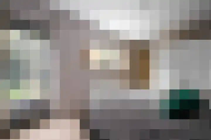 Poorthuisstraat 16 Bergambacht thumbnail 18