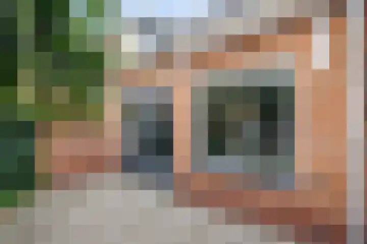 Poorthuisstraat 16 Bergambacht thumbnail 27