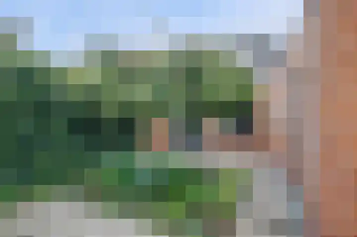 Poorthuisstraat 16 Bergambacht thumbnail 31