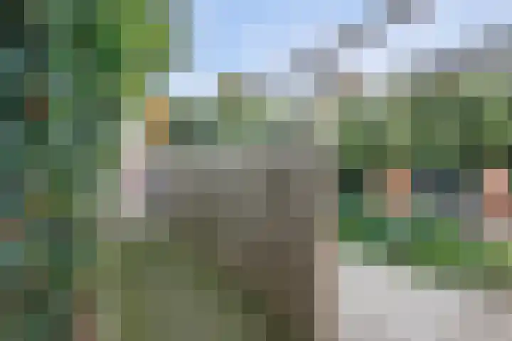 Poorthuisstraat 16 Bergambacht thumbnail 32
