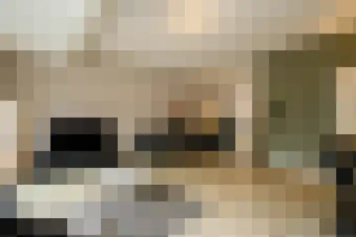 Poorthuisstraat 16 Bergambacht thumbnail 4