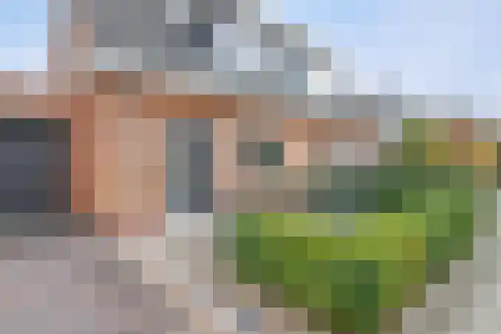 Poorthuisstraat 16 Bergambacht thumbnail 5