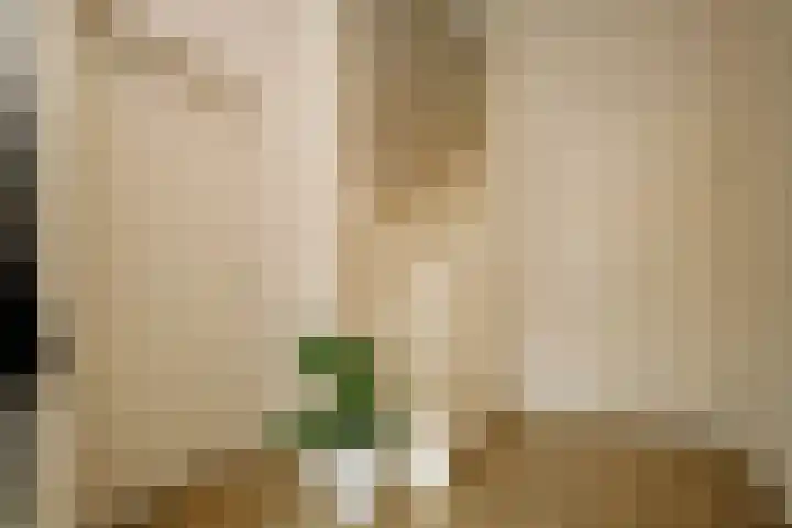 Poorthuisstraat 16 Bergambacht thumbnail 8