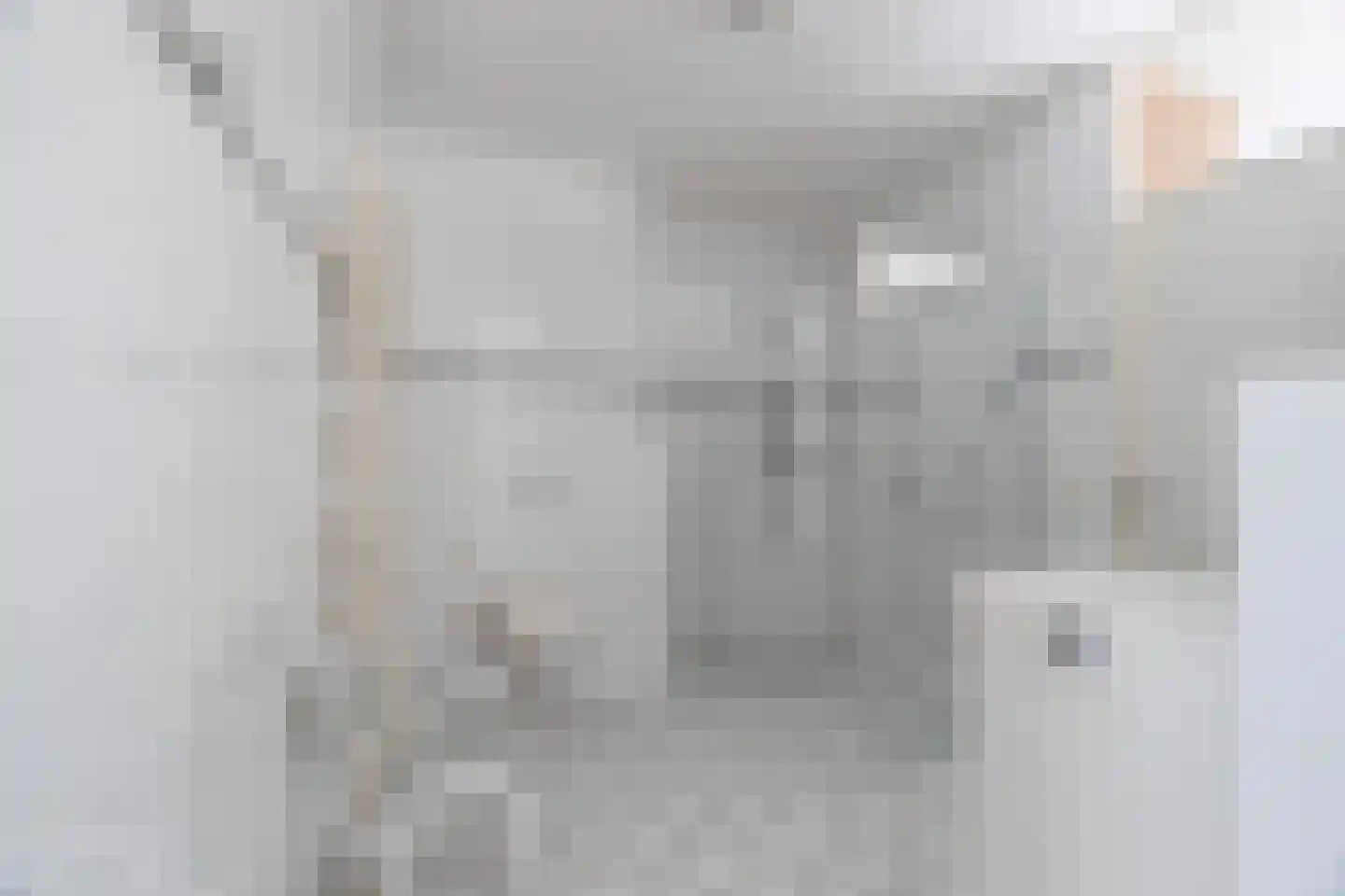 Poorthuisstraat 83 Bergambacht thumbnail 19