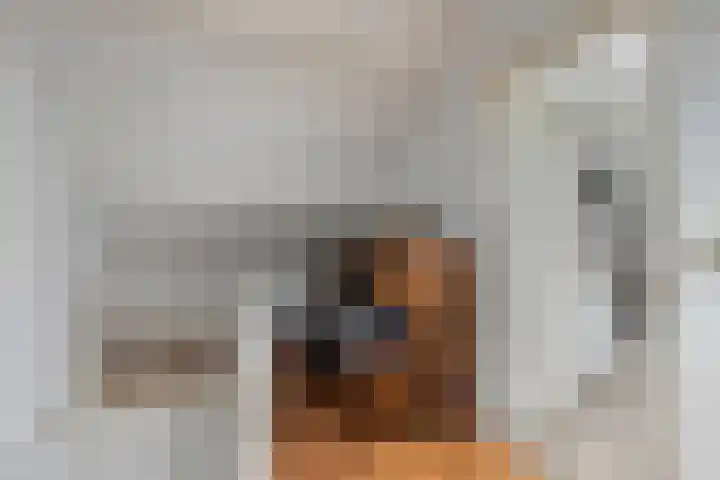Poortjesgoed 11 Veenendaal thumbnail 24