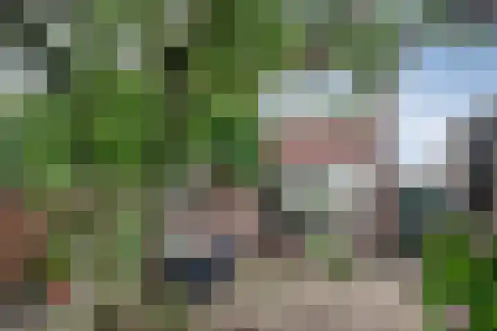 Poortjesgoed 11 Veenendaal thumbnail 27