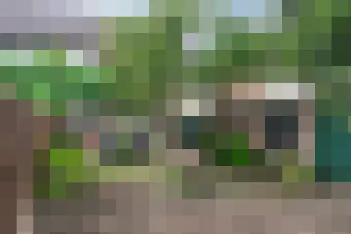 Poortjesgoed 11 Veenendaal thumbnail 28