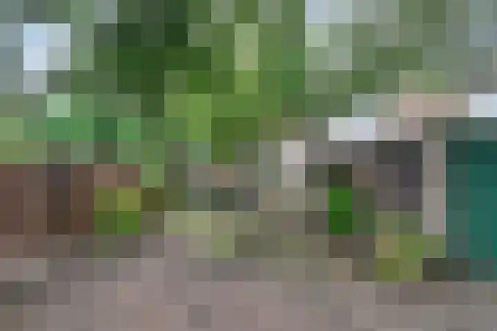 Poortjesgoed 11 Veenendaal thumbnail 29