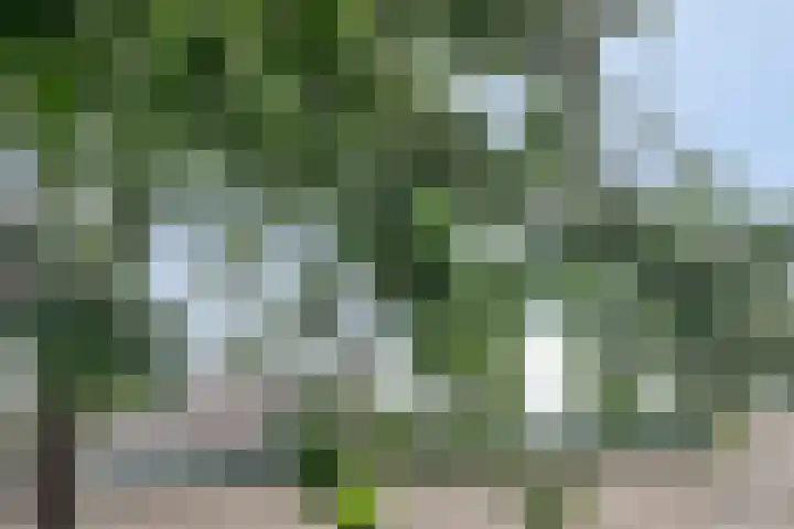 Poortjesgoed 11 Veenendaal thumbnail 30