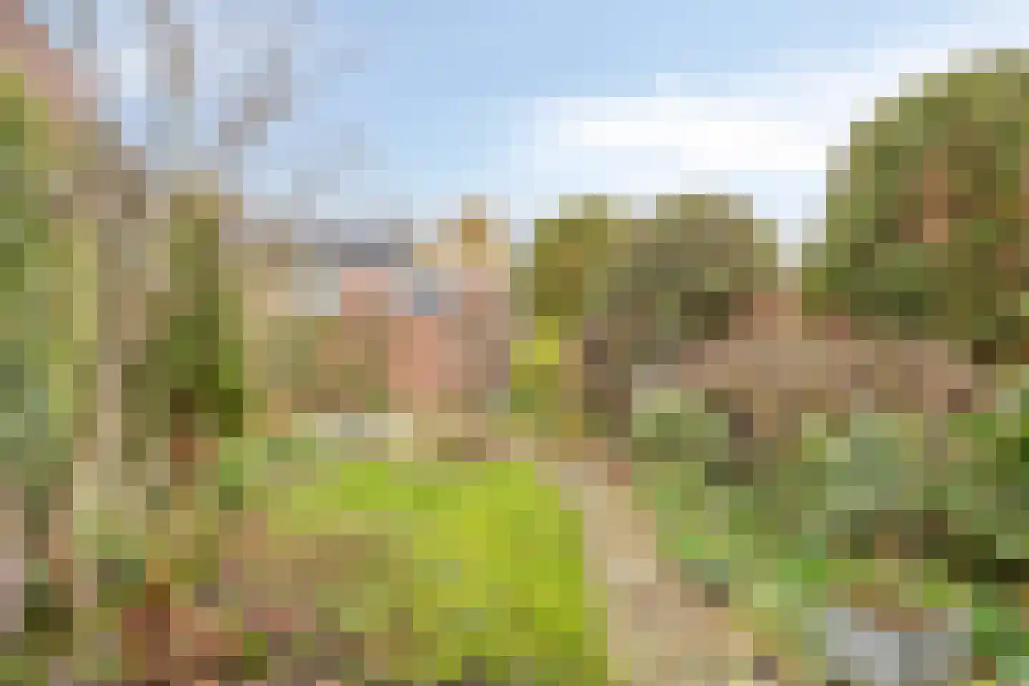 Poortjesgoed 20 Veenendaal thumbnail 17