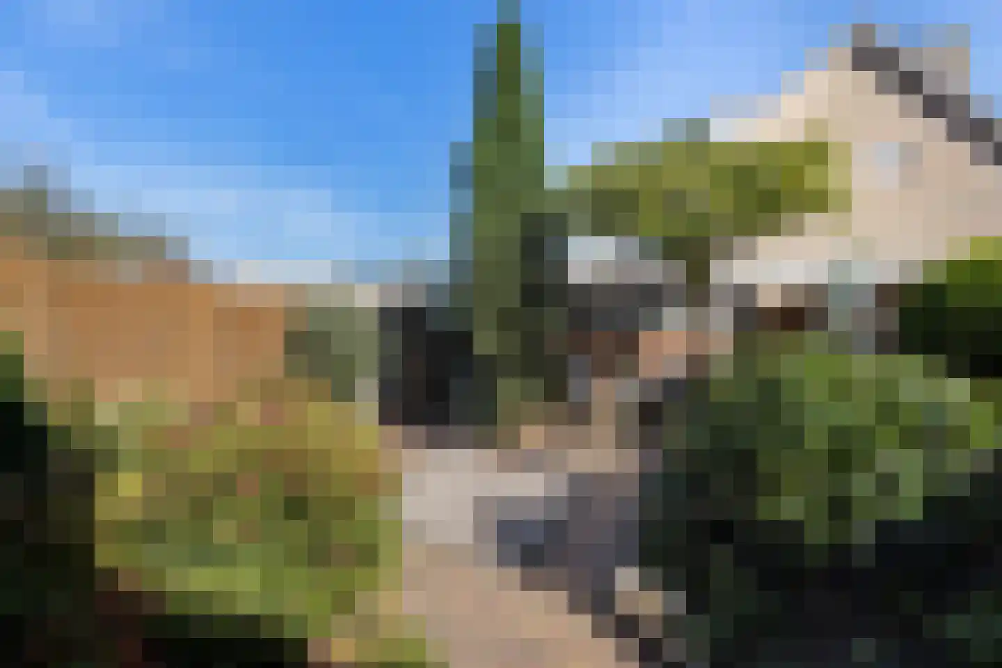Poortjesgoed 21 Veenendaal thumbnail 33