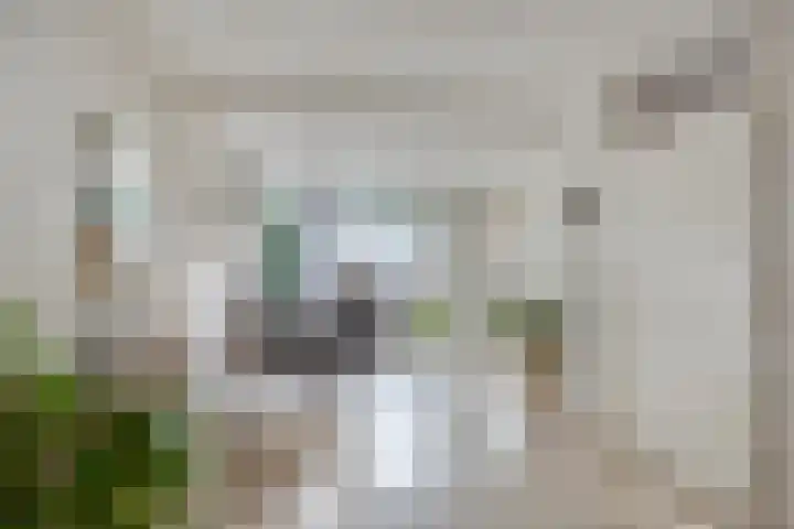 Poortjesgoed 63 Veenendaal thumbnail 10