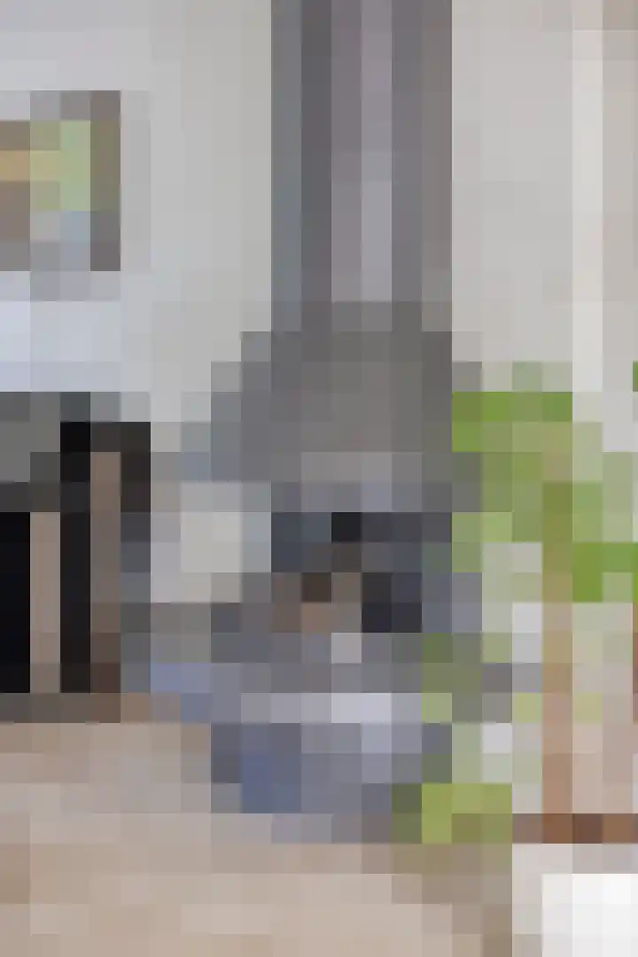 Poortjesgoed 63 Veenendaal thumbnail 16