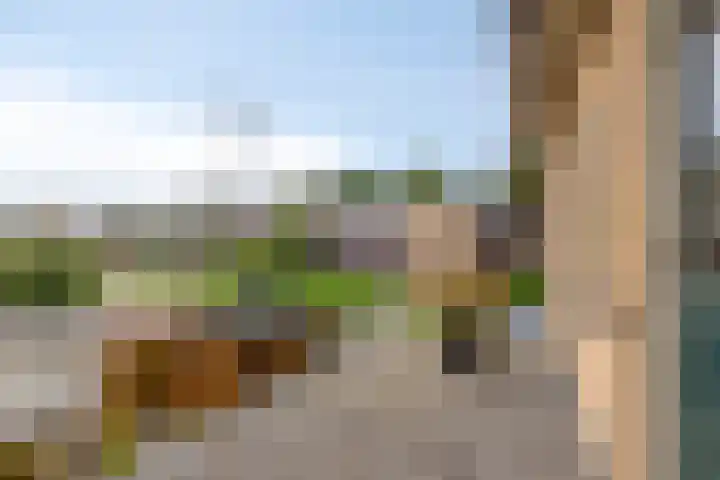 Poortjesgoed 63 Veenendaal thumbnail 23