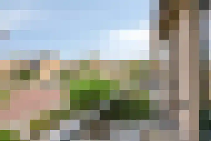 Poortjesgoed 63 Veenendaal thumbnail 28