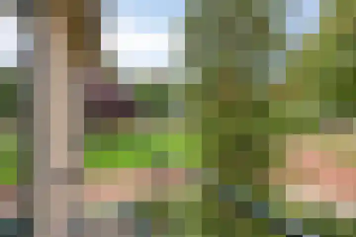Poortjesgoed 63 Veenendaal thumbnail 29