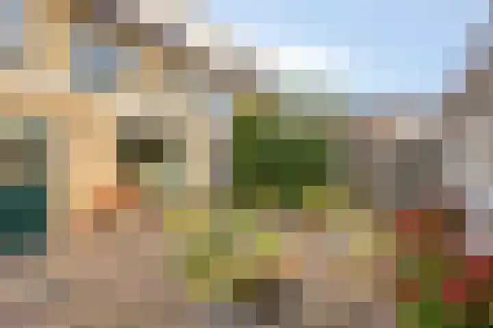 Poortjesgoed 63 Veenendaal thumbnail 34
