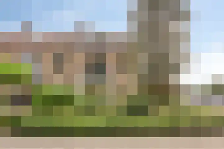Poortjesgoed 63 Veenendaal thumbnail 38
