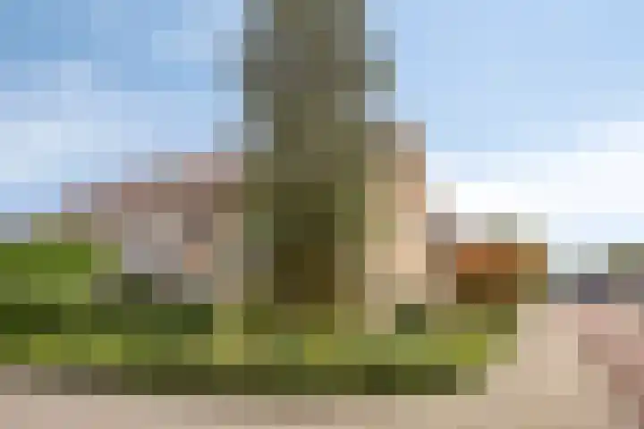 Poortjesgoed 63 Veenendaal thumbnail 39