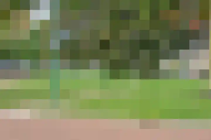 Poortjesgoed 63 Veenendaal thumbnail 40