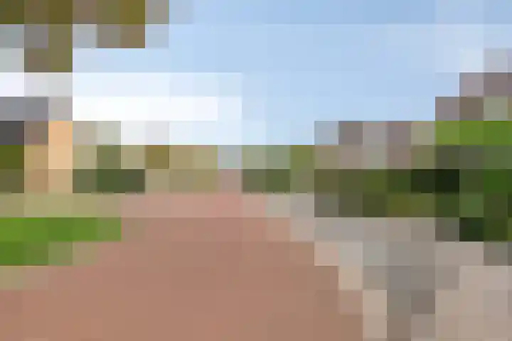 Poortjesgoed 63 Veenendaal thumbnail 41
