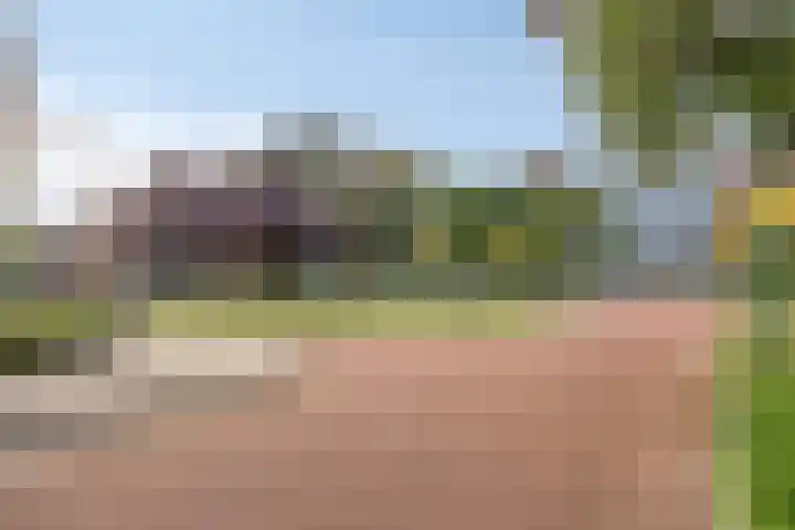 Poortjesgoed 63 Veenendaal thumbnail 42