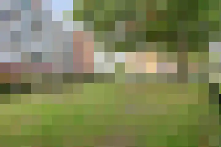 Poortjesgoed 63 Veenendaal thumbnail 43