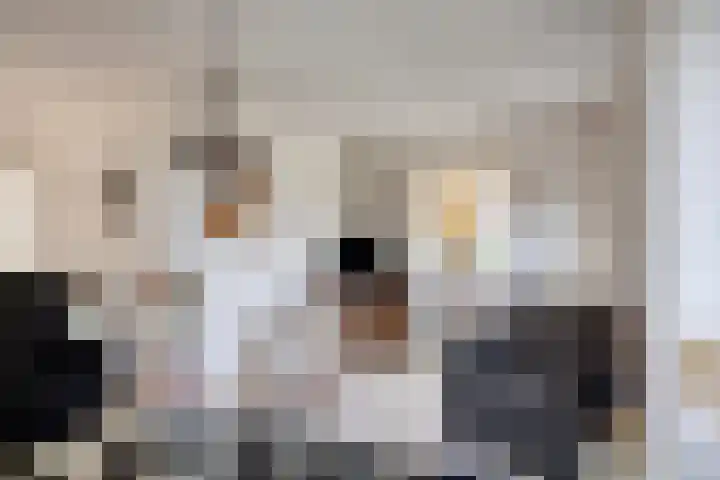 Poortjesgoed 63 Veenendaal thumbnail 6