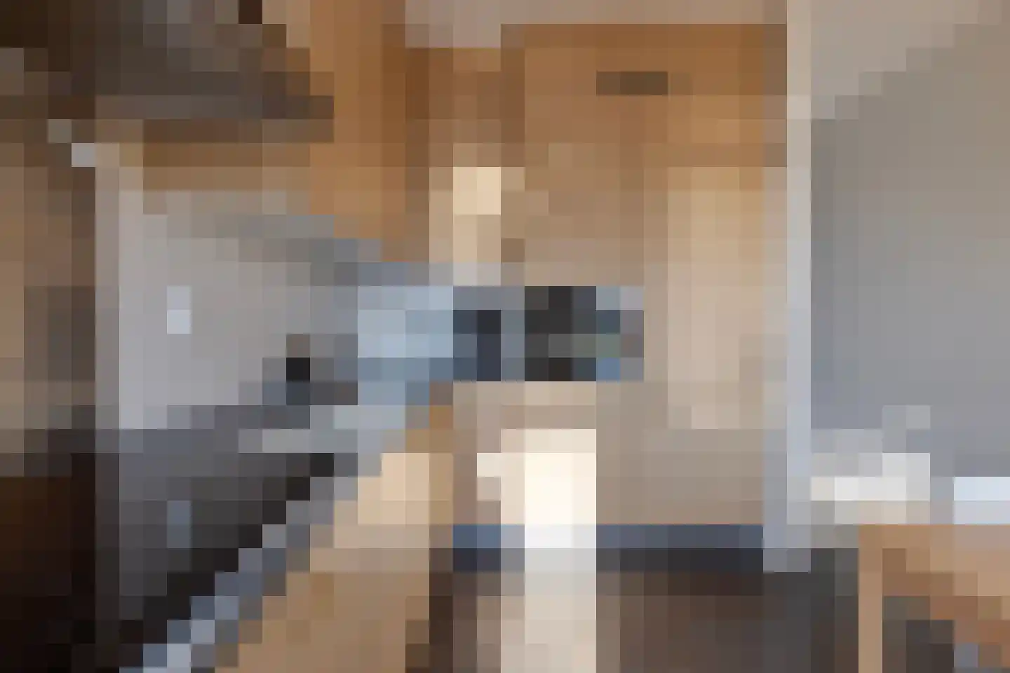 Poortkade 206 Zierikzee thumbnail 18
