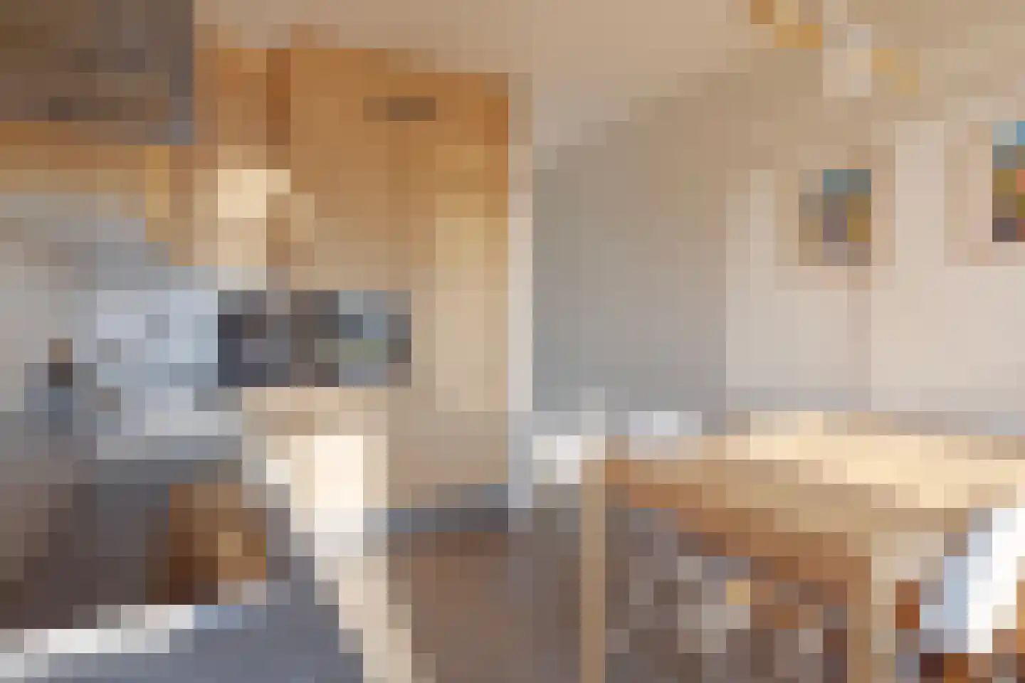 Poortkade 206 Zierikzee thumbnail 19
