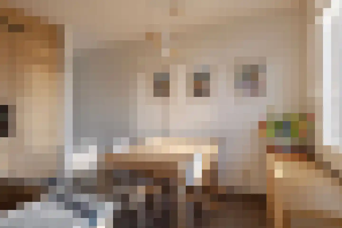 Poortkade 206 Zierikzee thumbnail 20