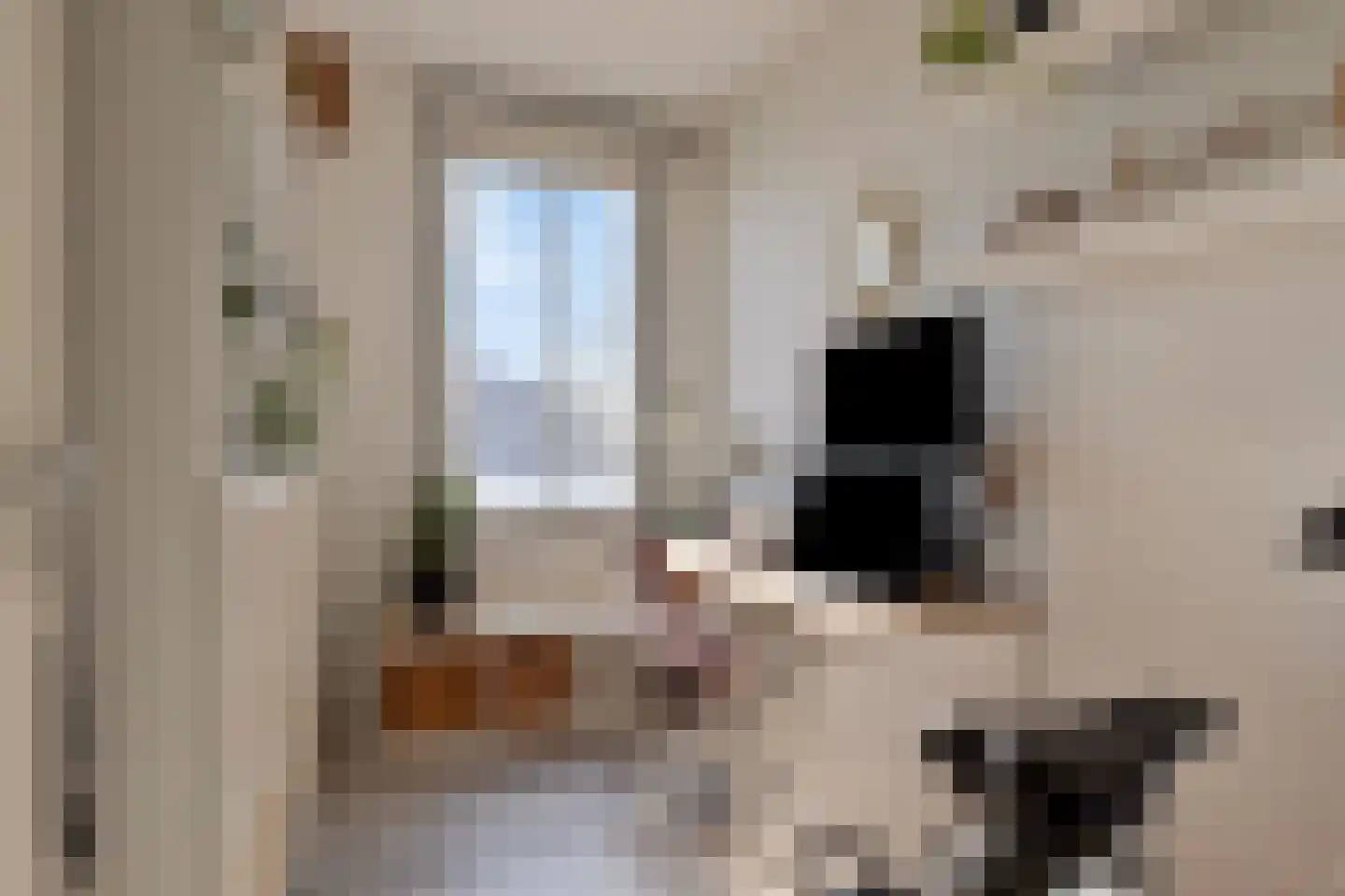 Poortkade 206 Zierikzee thumbnail 25