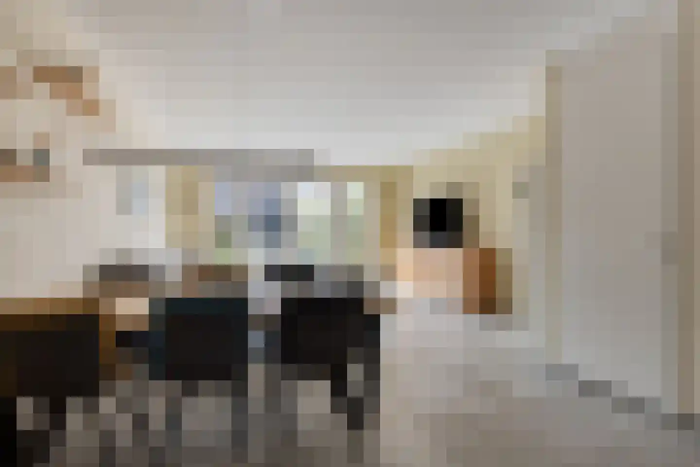 Poortkade 84 Zierikzee thumbnail 10