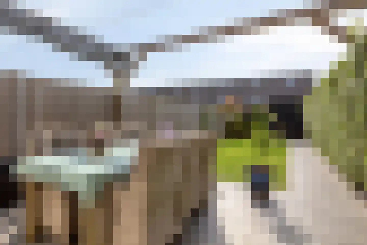 Poortkade 84 Zierikzee thumbnail 37