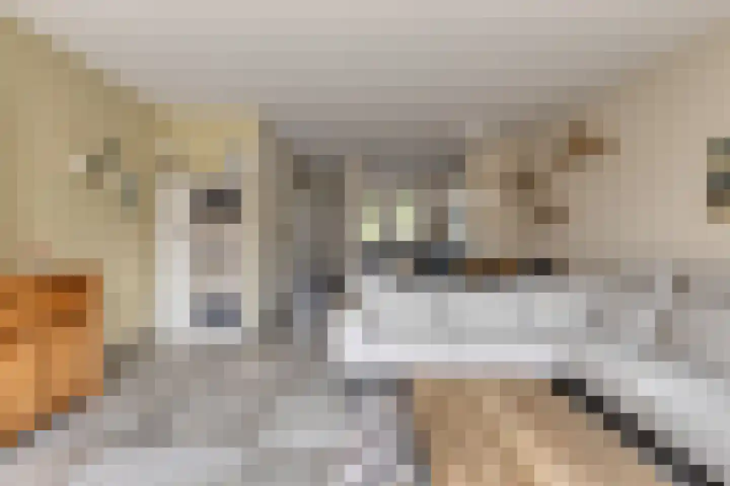 Poortkade 84 Zierikzee thumbnail 5