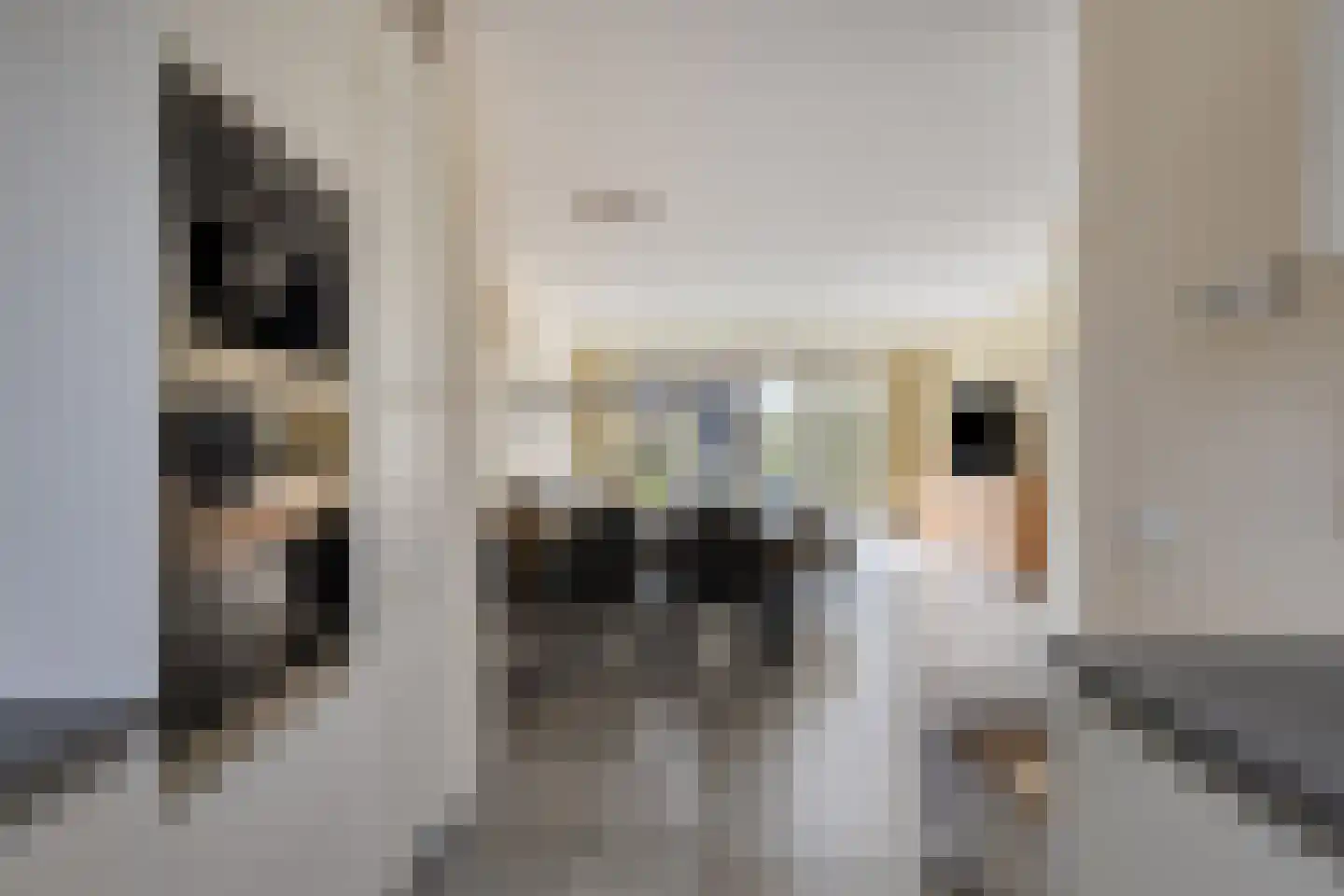 Poortkade 84 Zierikzee thumbnail 9